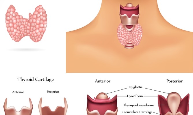 Could You Be Hypothyroid?