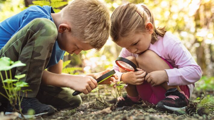 Environmental Toxins in Children: Protecting Pediatric Health