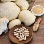 Lion’s Mane and the Rise of Medicinal Mushrooms Lion’s Mane and the Rise of Medicinal Mushrooms