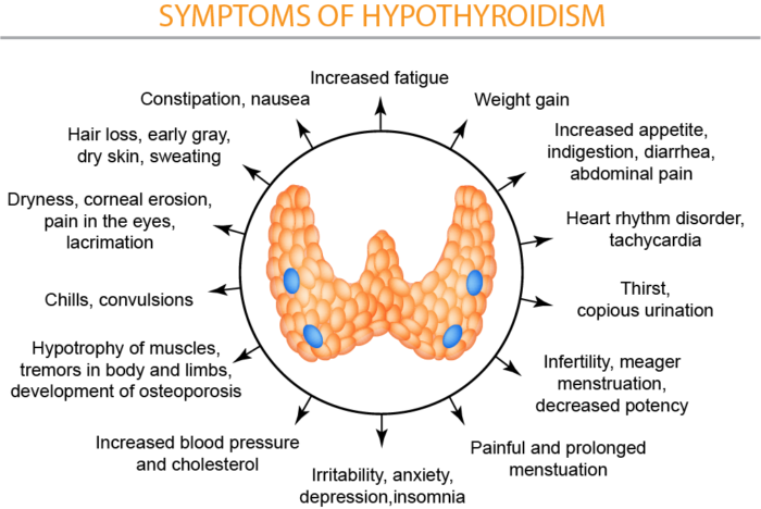 hyperthyroidism-insert | Sunrise Functional Medicine