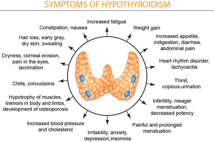 hyperthyroidism-insert