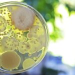 Why Mold Exposure Is So Common — and So Easily Missed