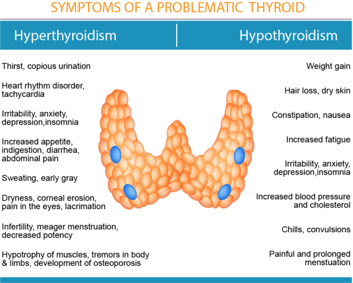 thyroidism-insert-2
