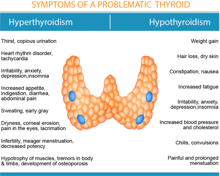 Thyroid And Adrenal Dysfunction Sunrise Functional Medicine 