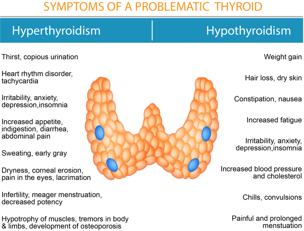 thyroidism-insert-final-sunrise-functional-medicine