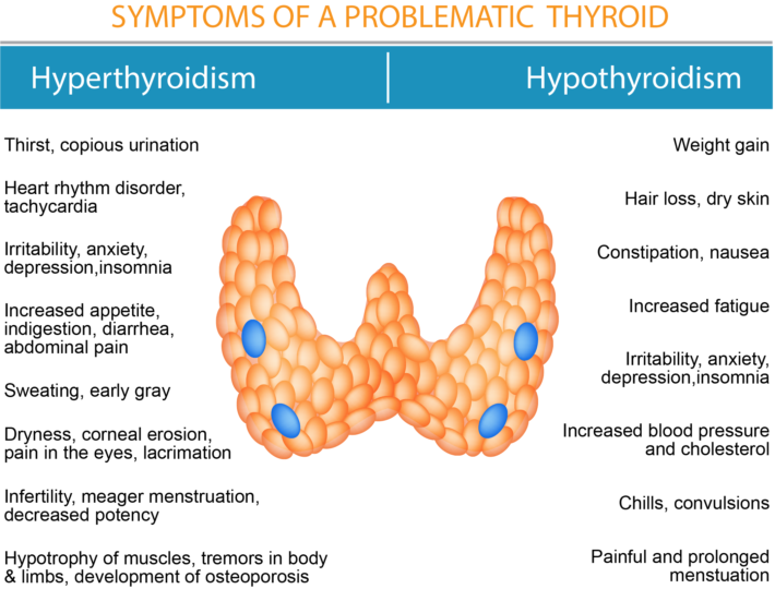 thyroidism-insert-final